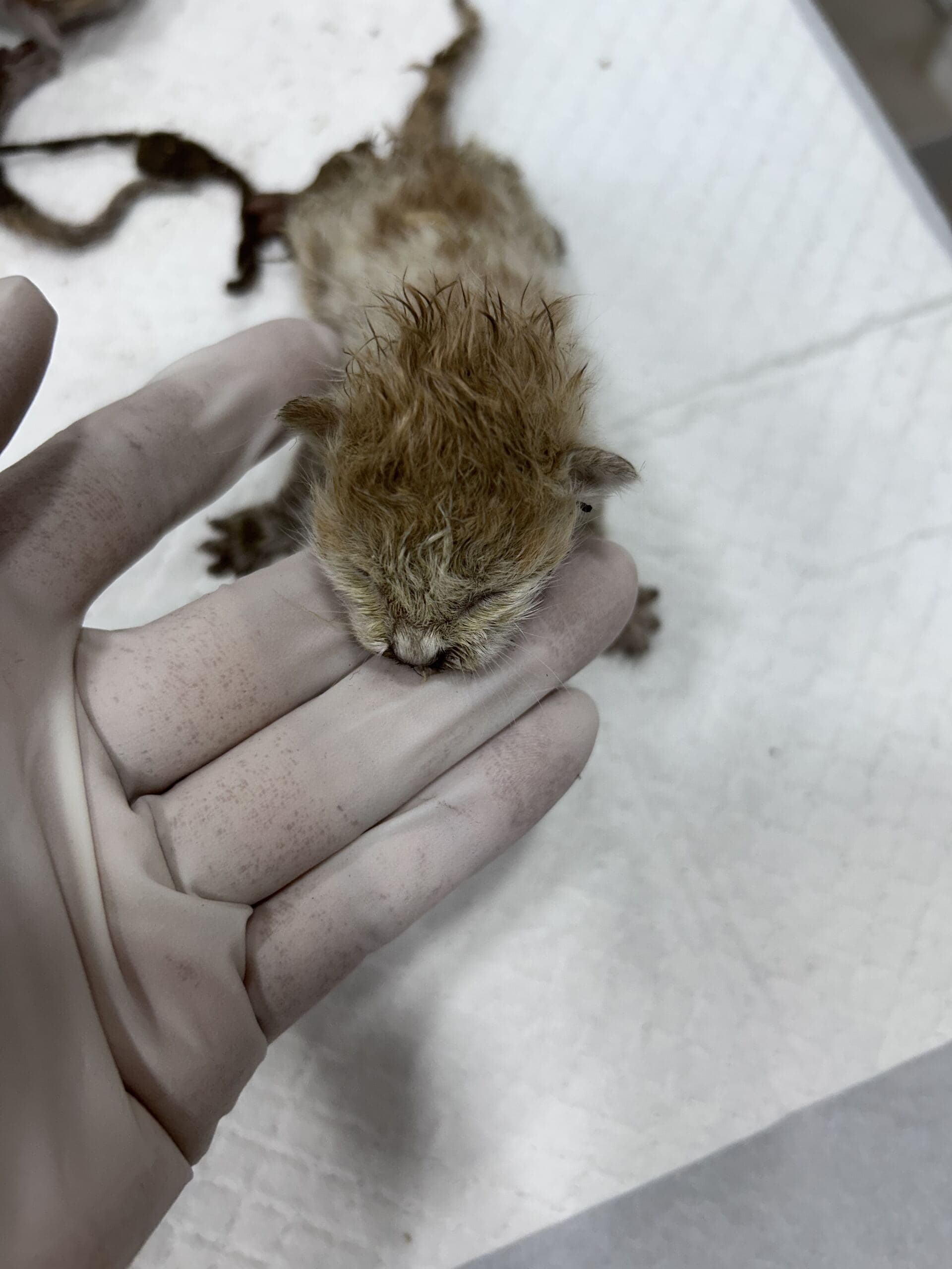 인천광역시 강화군 000200 구조 사진
