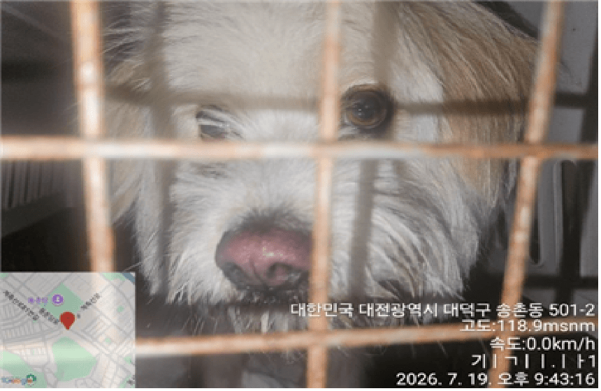 대전광역시 유성구 000114 구조 사진