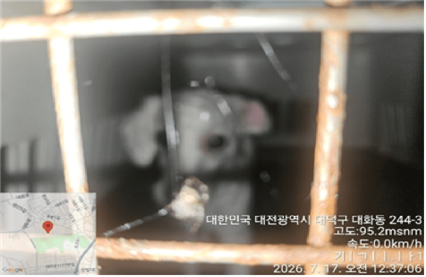 대전광역시 유성구 000072 구조 사진
