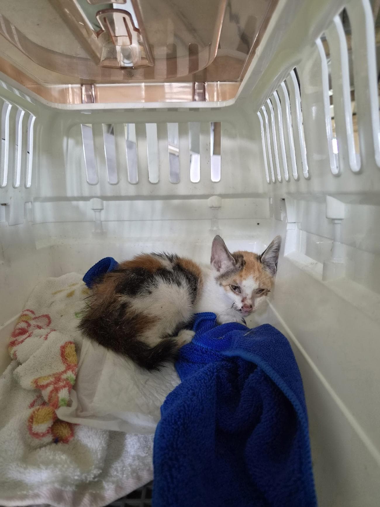 부산광역시 강서구 000200 구조 사진