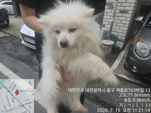 대전광역시 유성구 000114 구조 사진