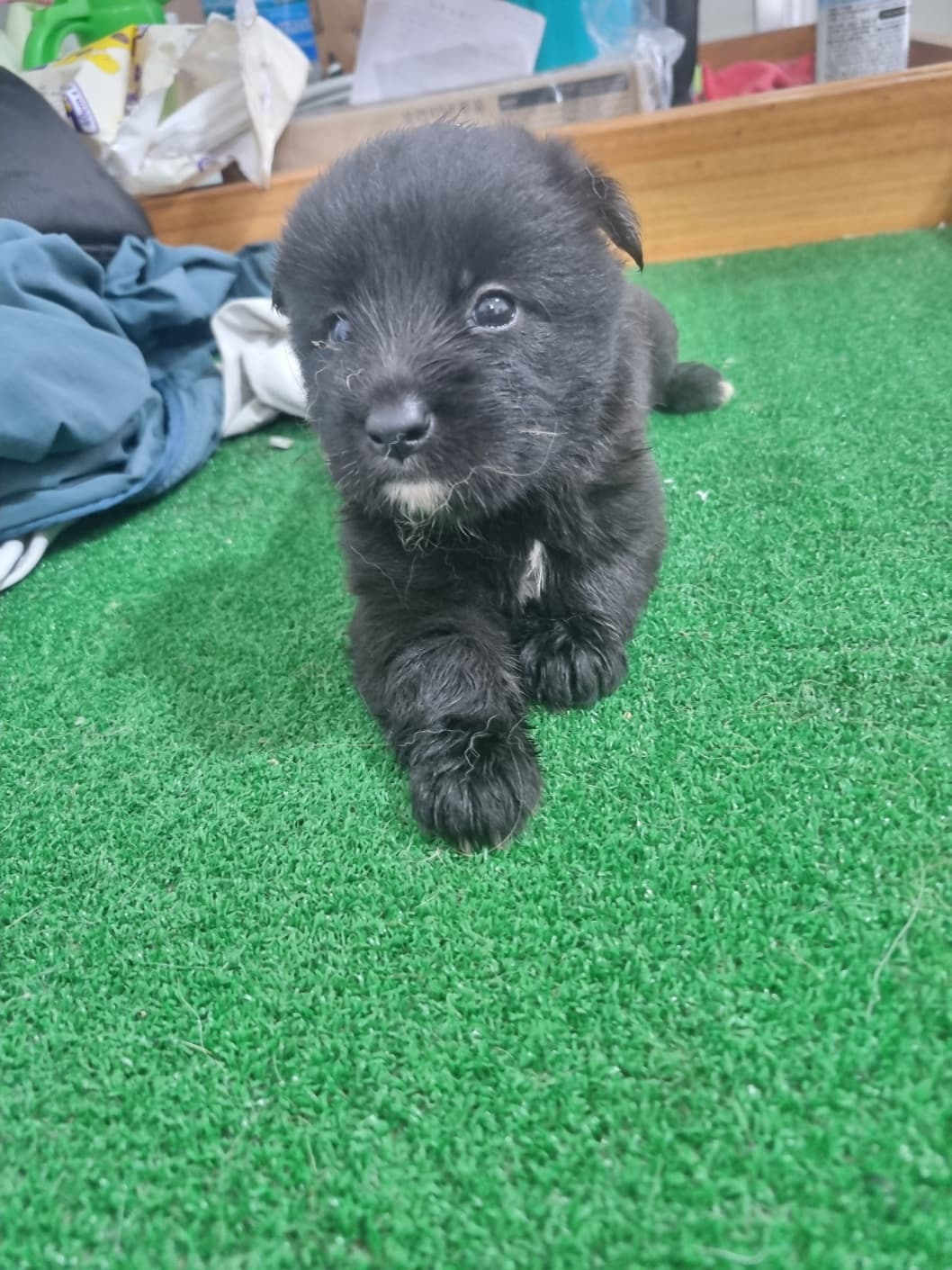 전북특별자치도 부안군 000114 구조 사진