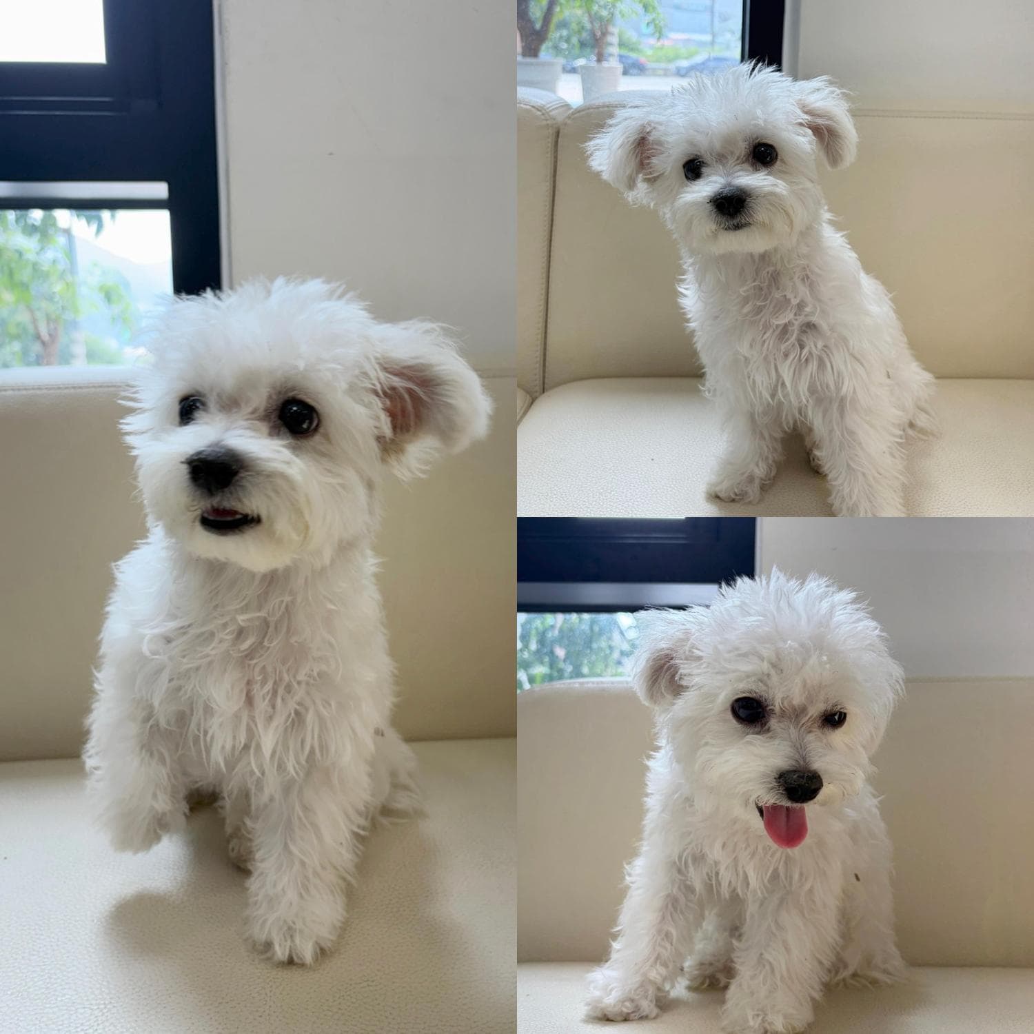 경상북도 경주시 000072 구조 사진