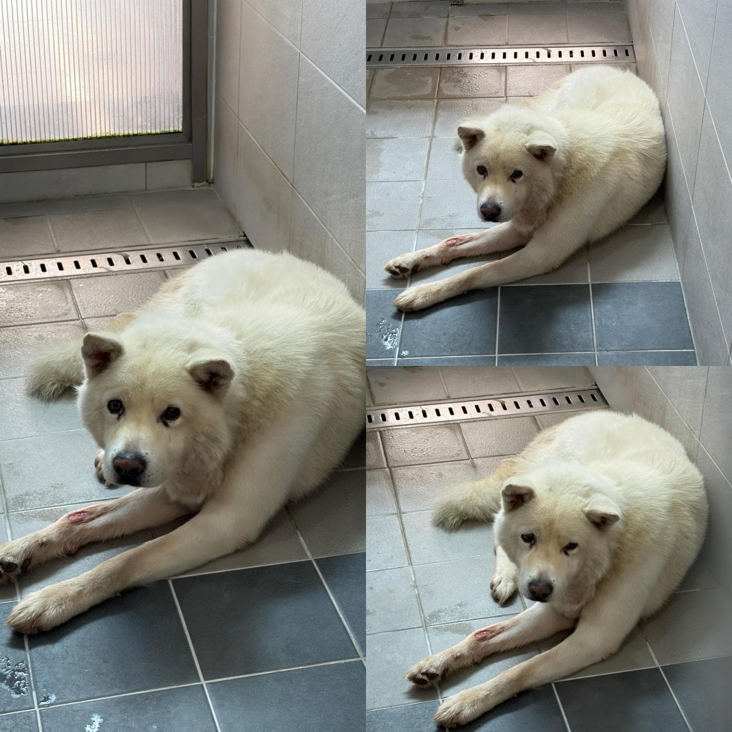경상북도 경주시 000114 구조 사진