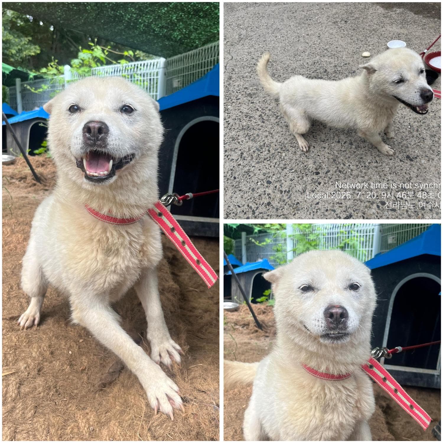 전남광주통합특별시 여수시 000114 구조 사진