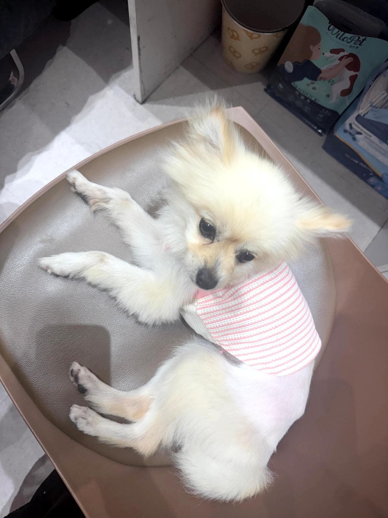 전북특별자치도 완주군 000114 구조 사진