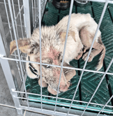 전남광주통합특별시 영암군 000114 구조 사진