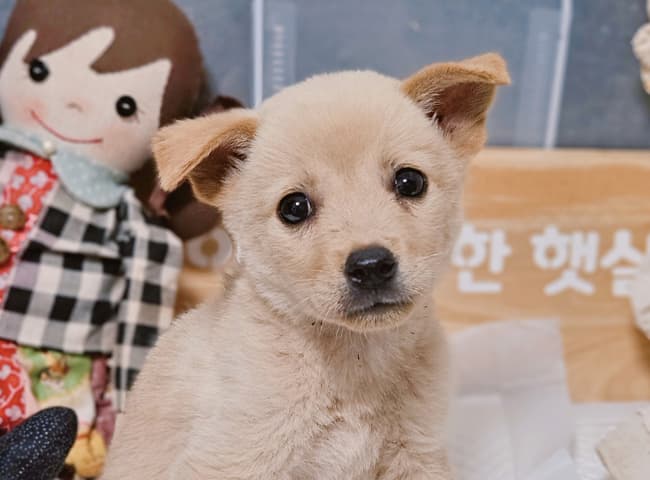 경상남도 진주시 000114 구조 사진