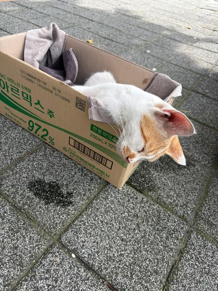 경기도 평택시 000200 구조 사진