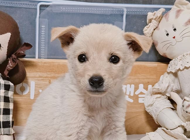 경상남도 진주시 000114 구조 사진