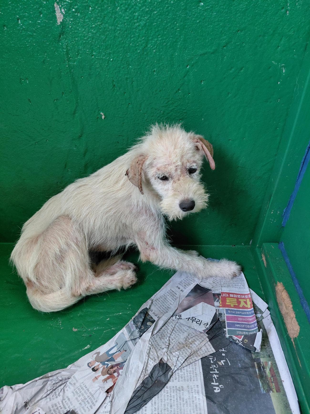 충청남도 보령시 000114 구조 사진