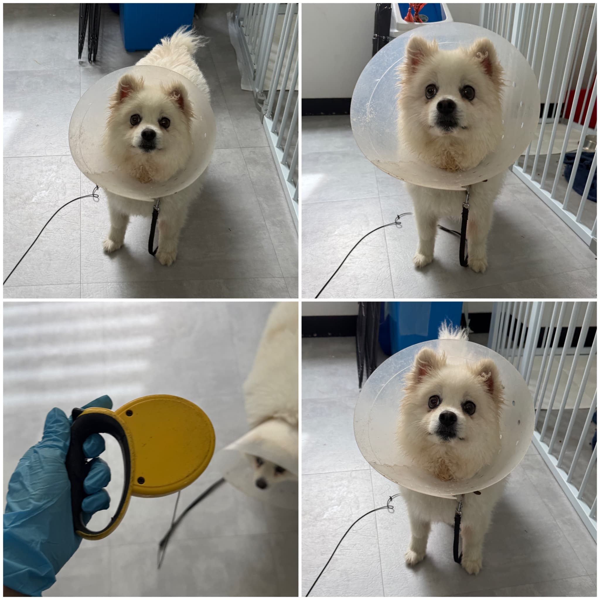충청남도 천안시 동남구 000114 구조 사진