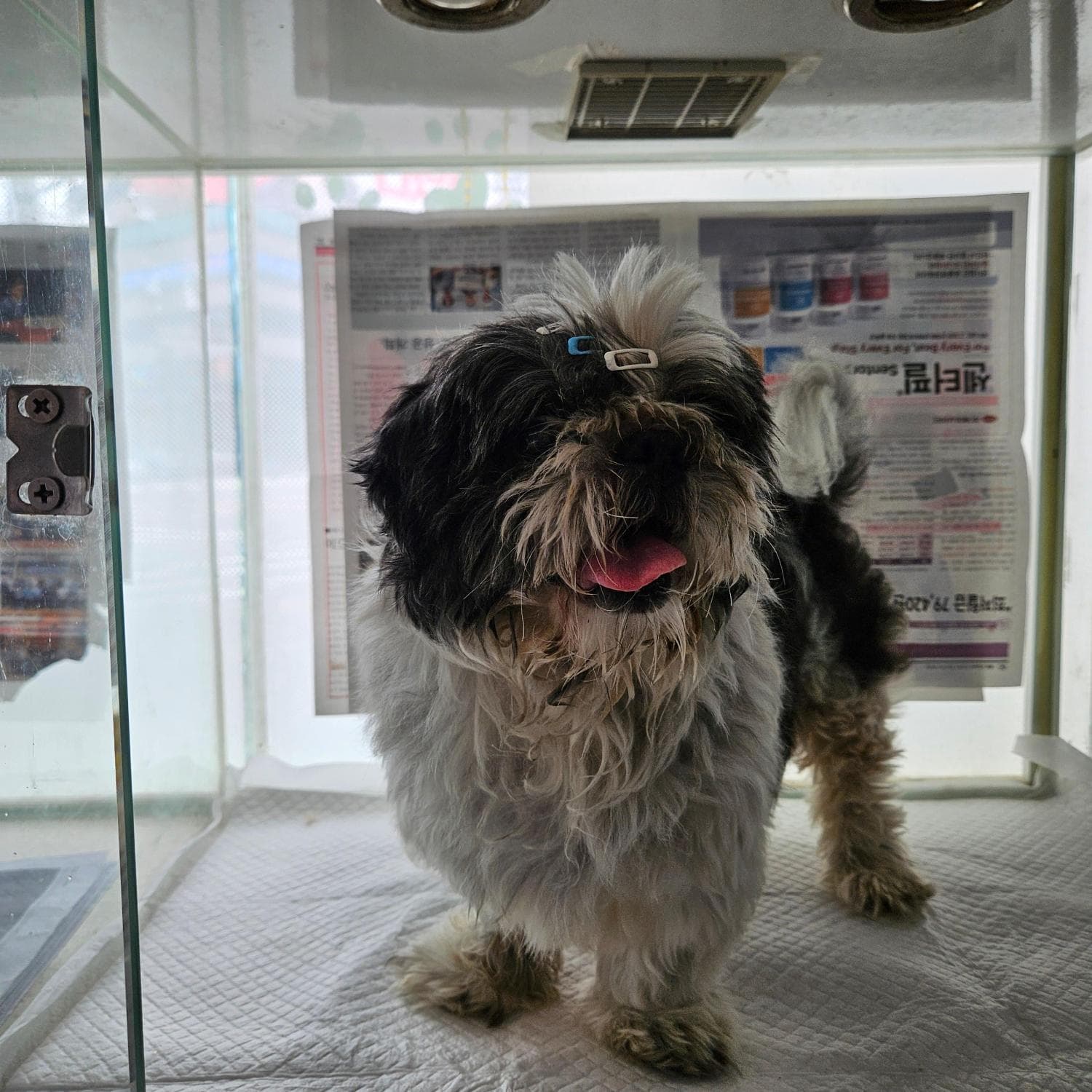 인천광역시 남동구 000101 구조 사진
