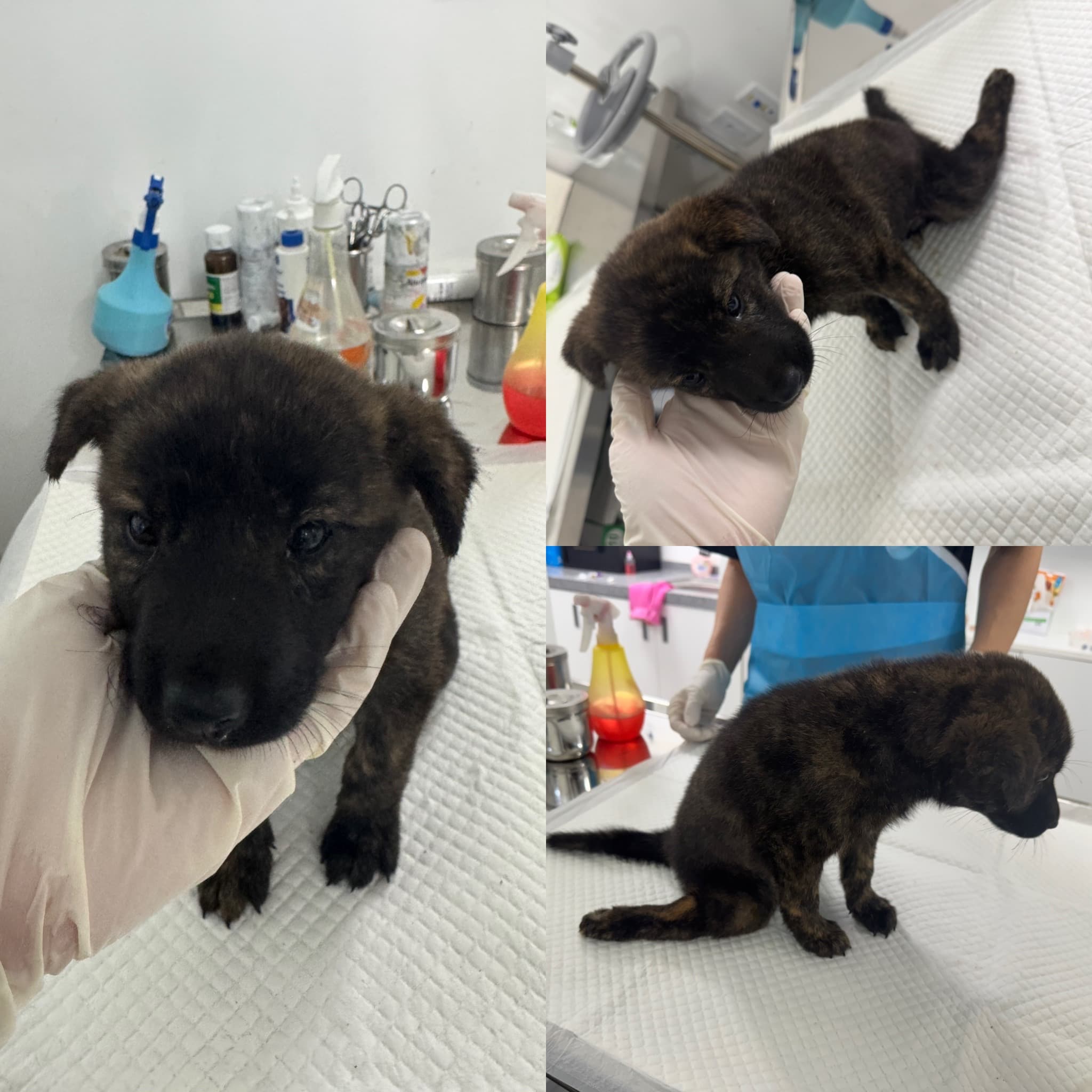 충청남도 당진시 000114 구조 사진