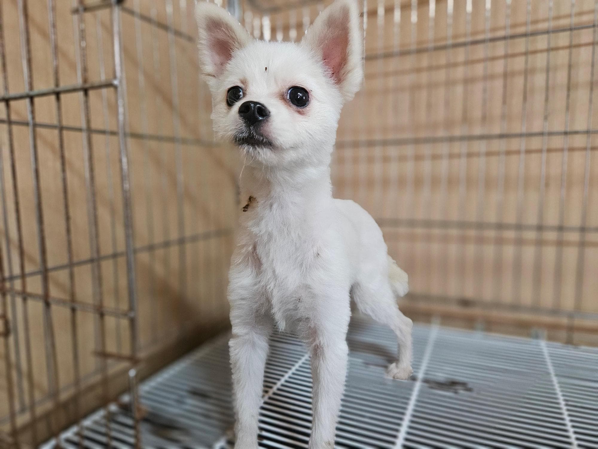 경상남도 창원시 성산구 000089 구조 사진