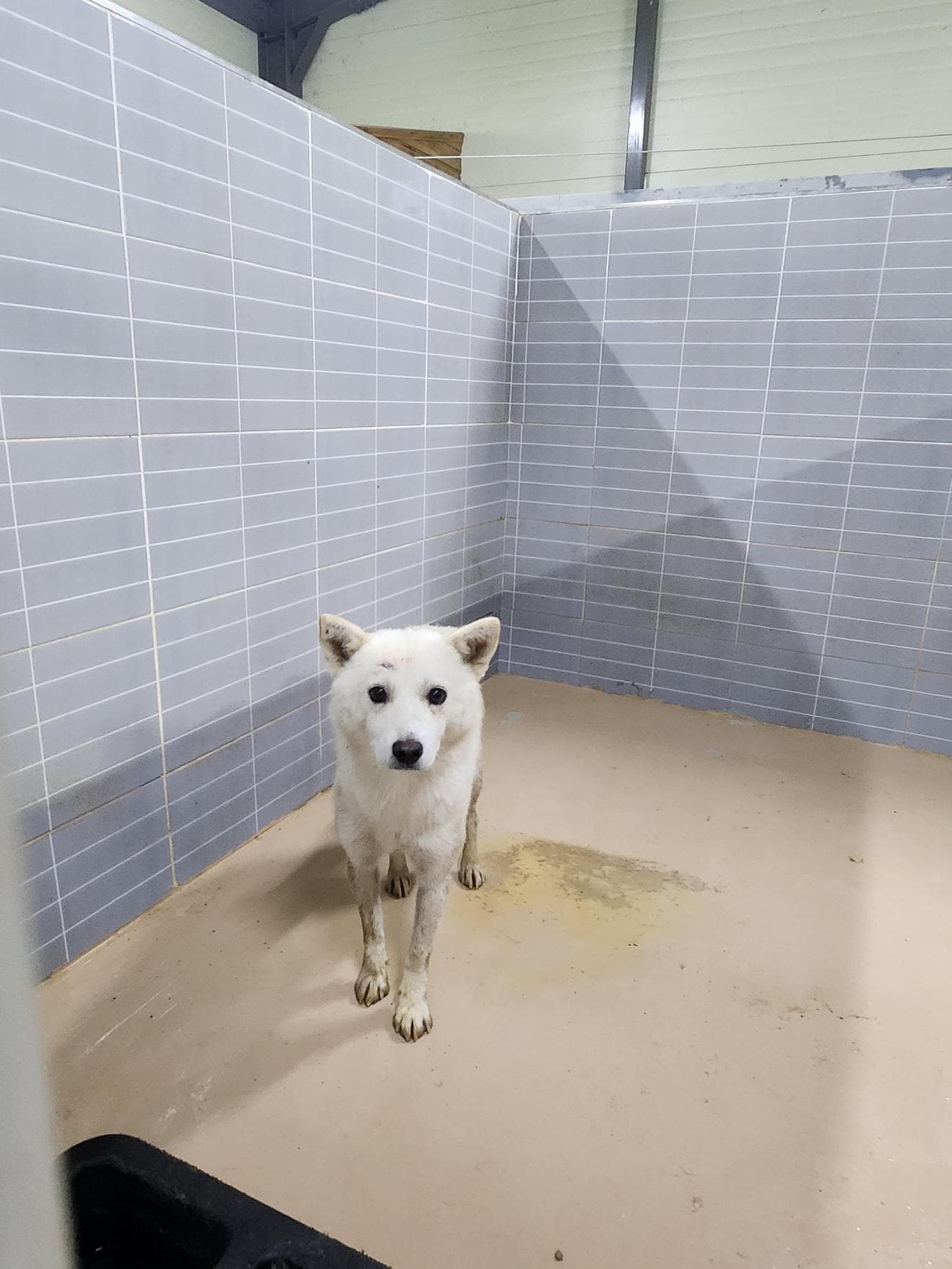 경상북도 영덕군 000114 구조 사진
