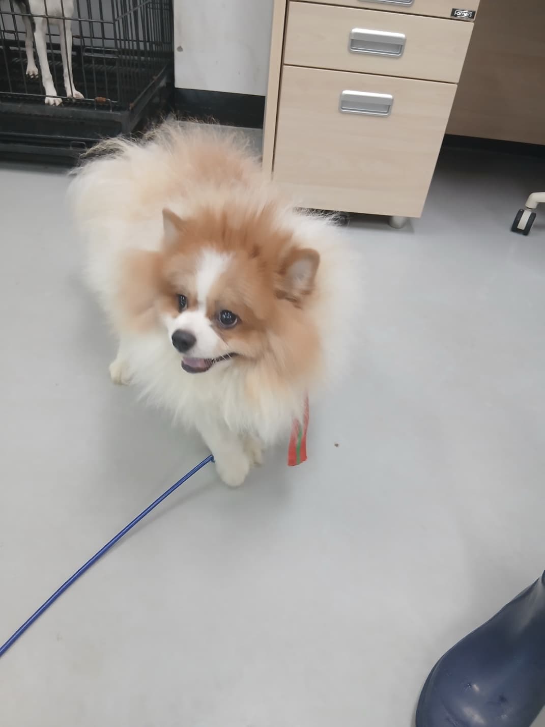 경상북도 구미시 000089 구조 사진