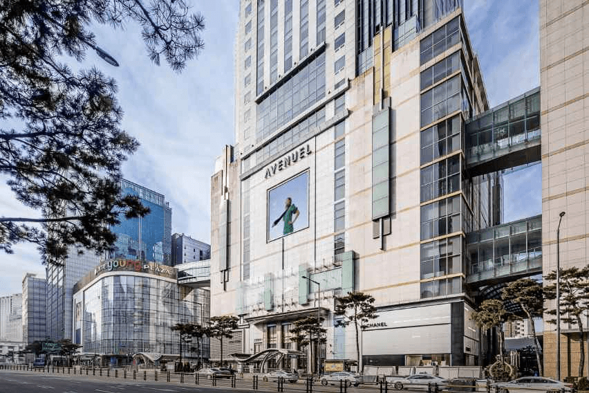 폴로남성 롯데백화점 본점